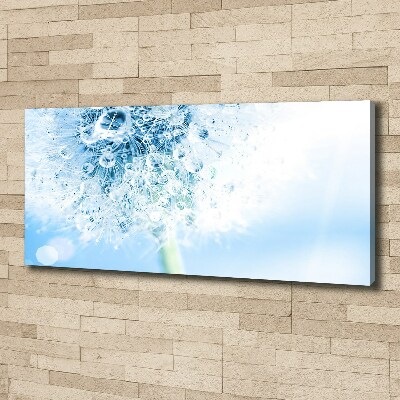 Canvas wall art Dandelion