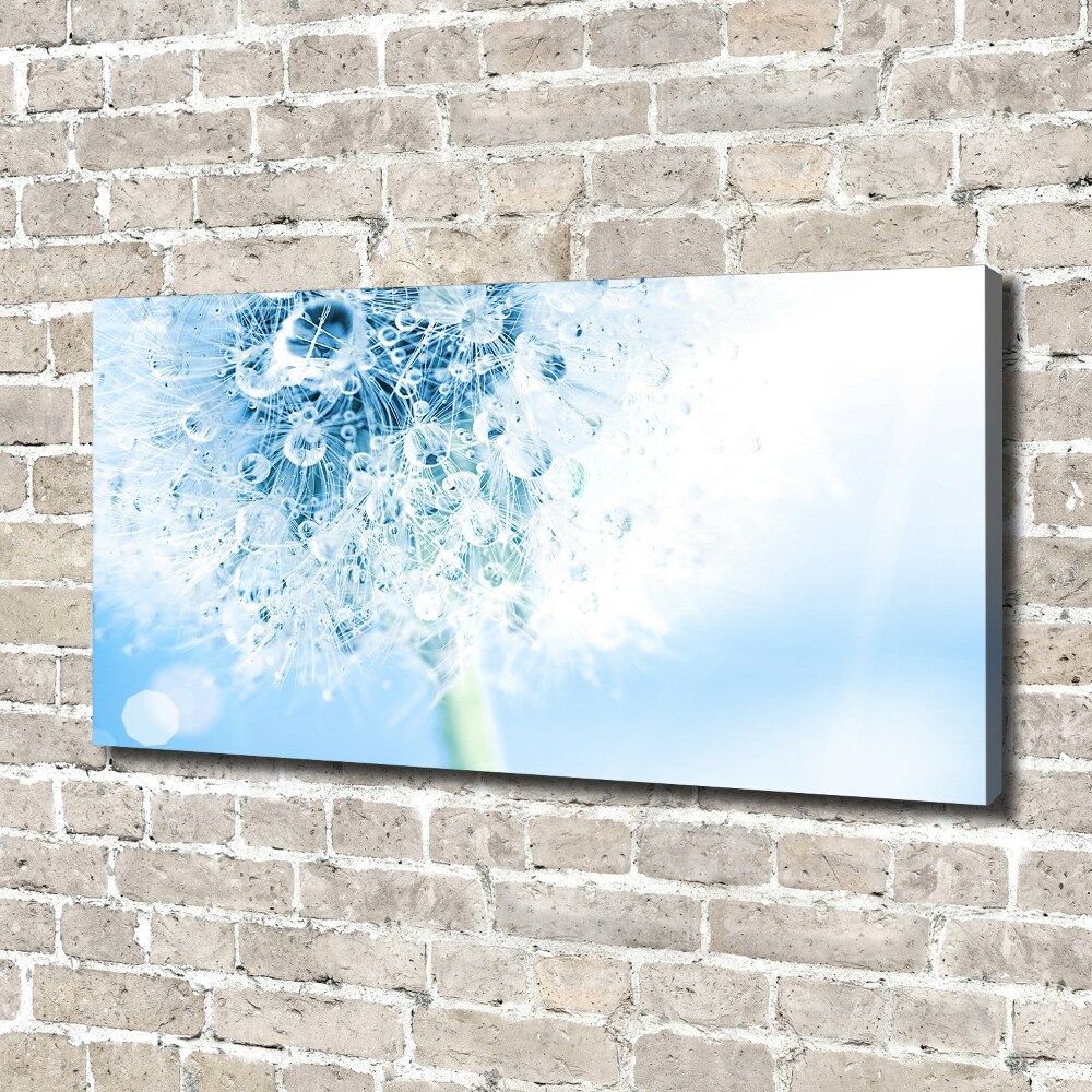 Canvas wall art Dandelion