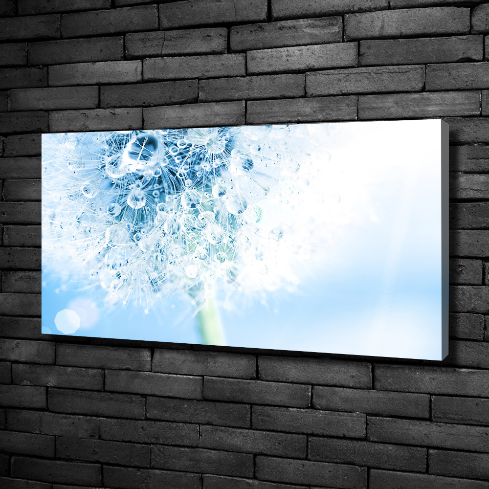 Canvas wall art Dandelion