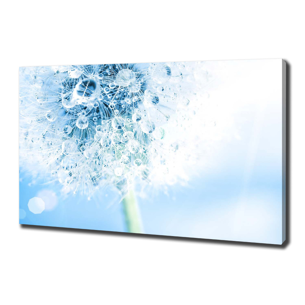 Canvas wall art Dandelion