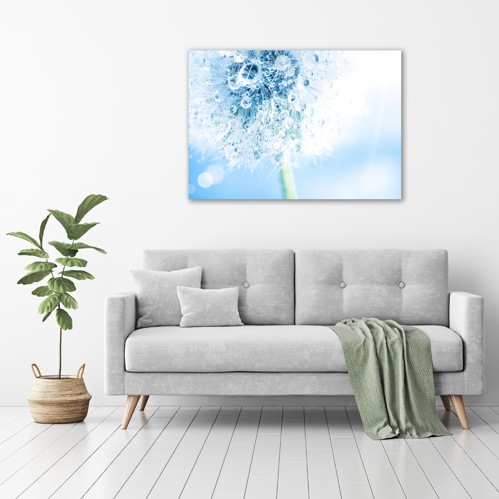 Canvas wall art Dandelion