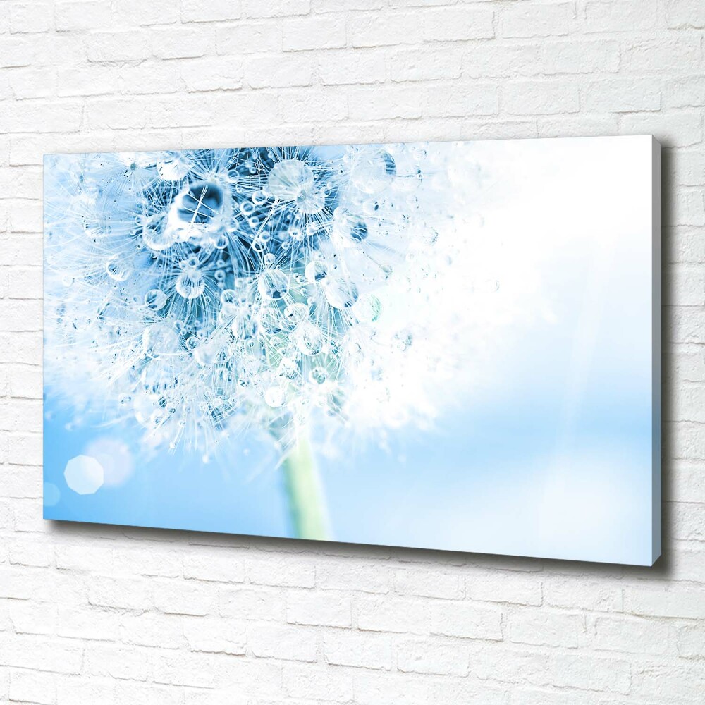 Canvas wall art Dandelion