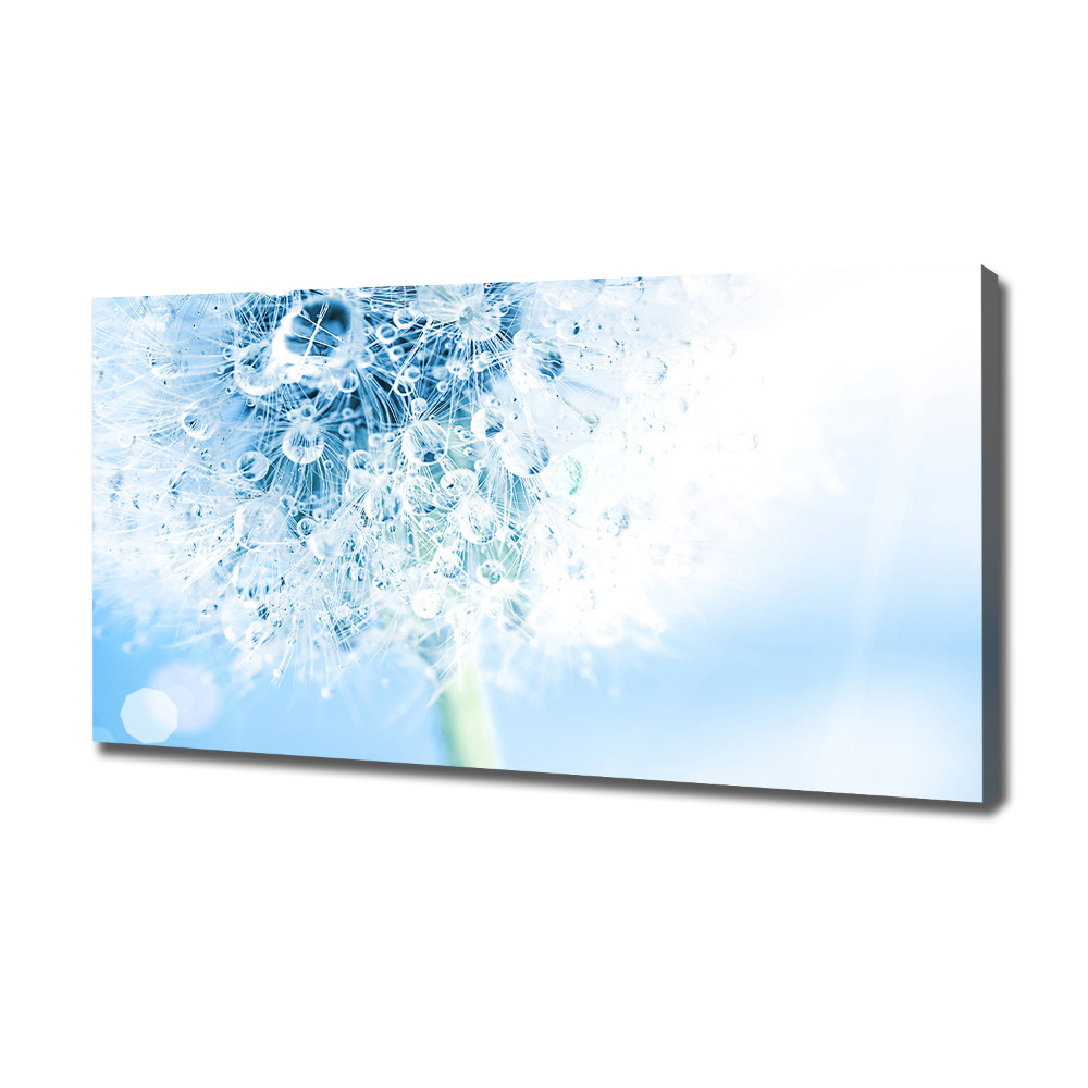 Canvas wall art Dandelion