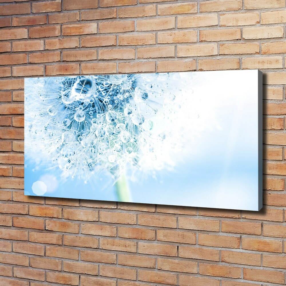 Canvas wall art Dandelion