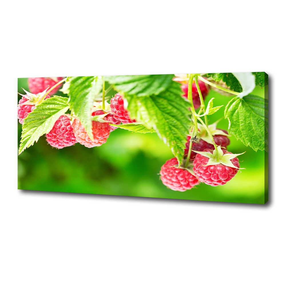 Canvas wall art Raspberries in the garden