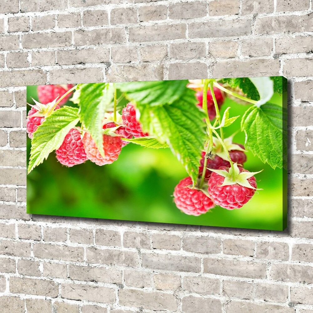 Canvas wall art Raspberries in the garden