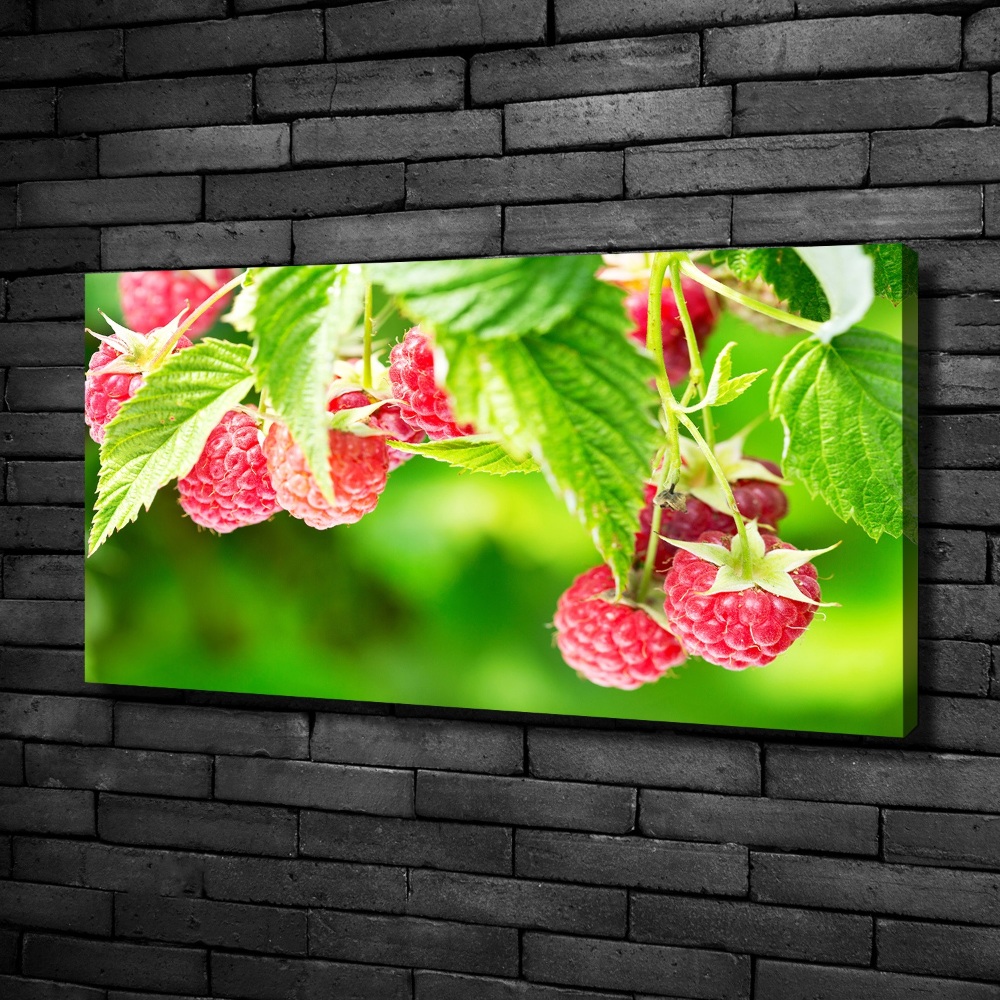 Canvas wall art Raspberries in the garden