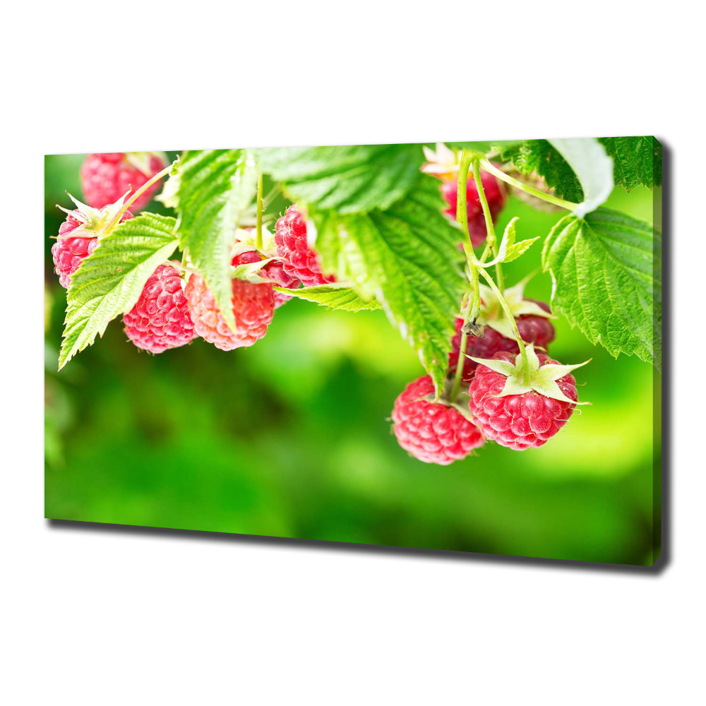 Canvas wall art Raspberries in the garden