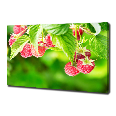 Canvas wall art Raspberries in the garden