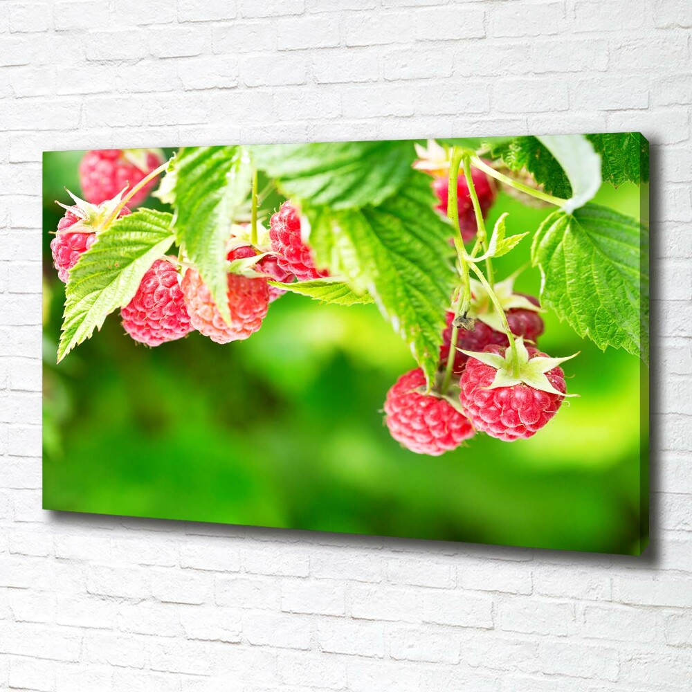 Canvas wall art Raspberries in the garden