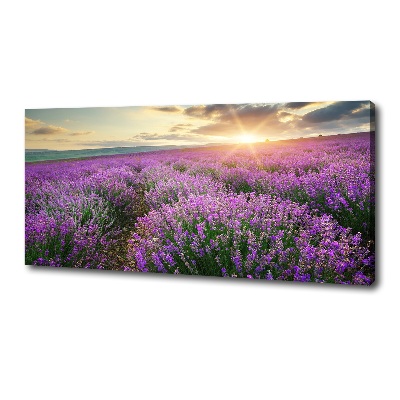 Canvas wall art Lavender field