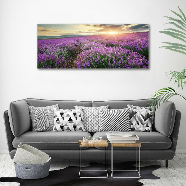 Canvas wall art Lavender field