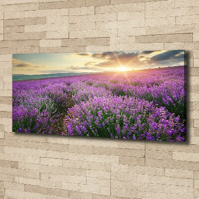 Canvas wall art Lavender field