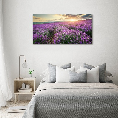 Canvas wall art Lavender field