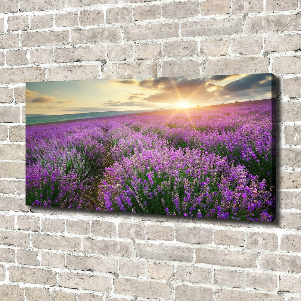 Canvas wall art Lavender field