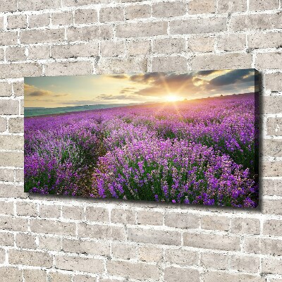 Canvas wall art Lavender field