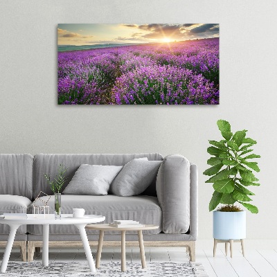 Canvas wall art Lavender field