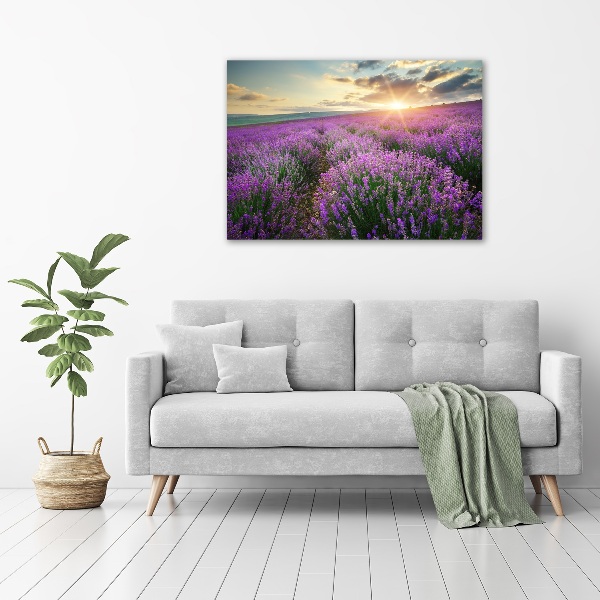 Canvas wall art Lavender field