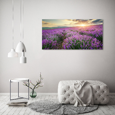 Canvas wall art Lavender field