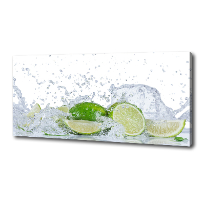 Canvas wall art Lime and water