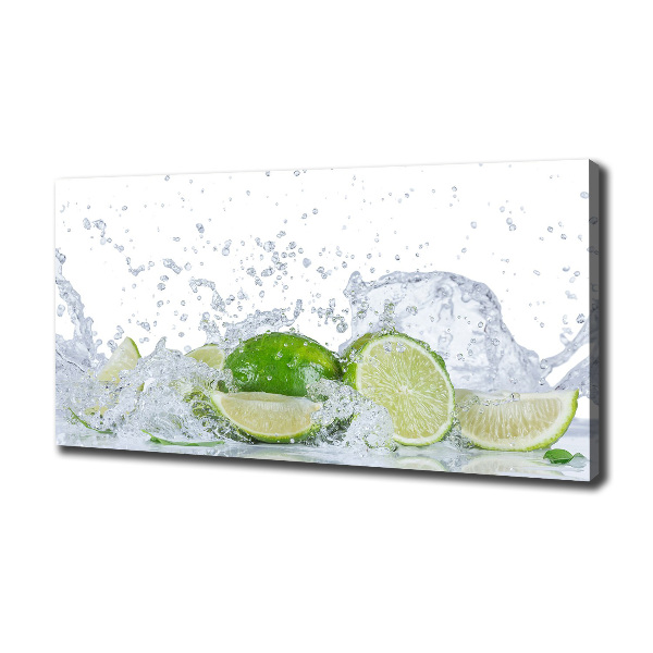 Canvas wall art Lime and water