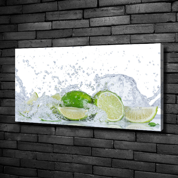 Canvas wall art Lime and water