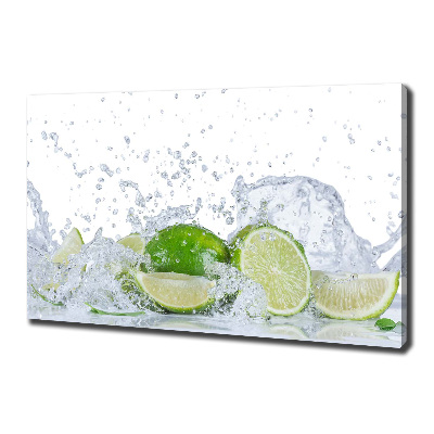 Canvas wall art Lime and water