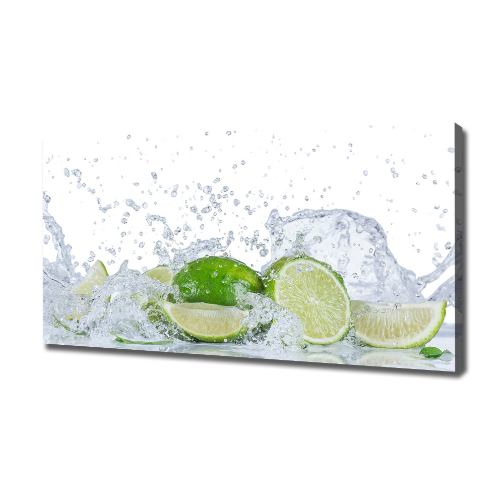 Canvas wall art Lime and water