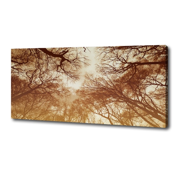 Canvas wall art Forest