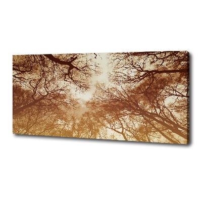 Canvas wall art Forest