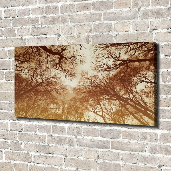 Canvas wall art Forest