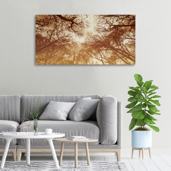 Canvas wall art Forest