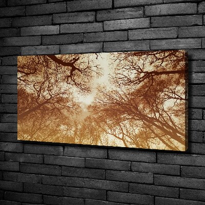 Canvas wall art Forest