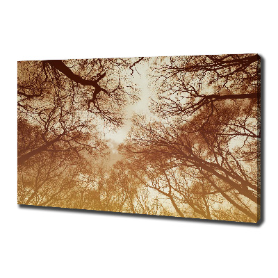 Canvas wall art Forest