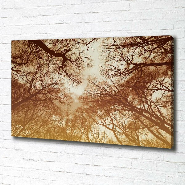 Canvas wall art Forest