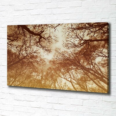 Canvas wall art Forest