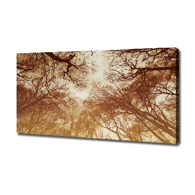 Canvas wall art Forest