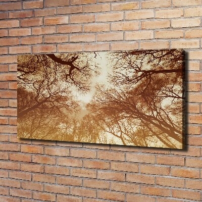 Canvas wall art Forest