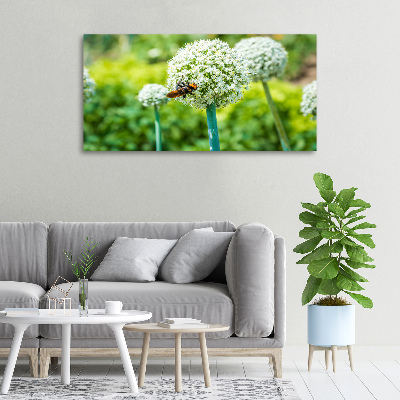 Canvas wall art Flowering garlic