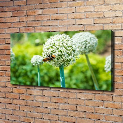 Canvas wall art Flowering garlic