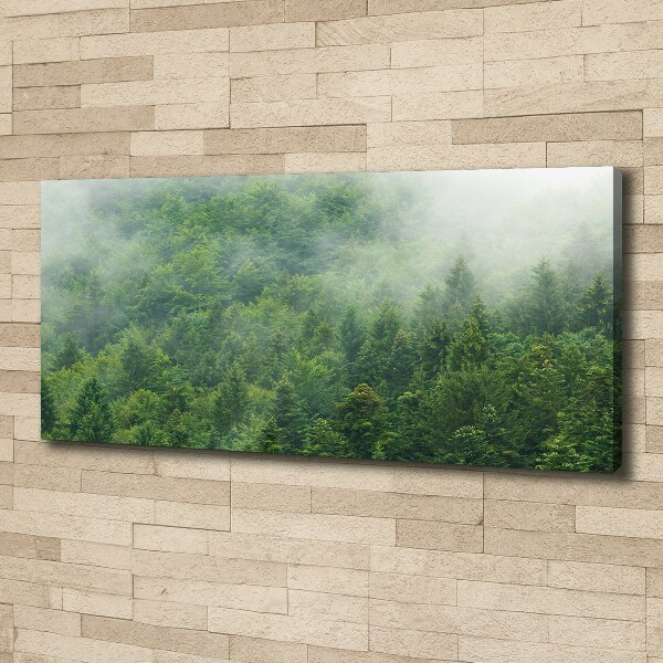 Canvas wall art Mysterious forest