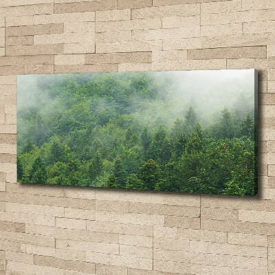 Canvas wall art Mysterious forest