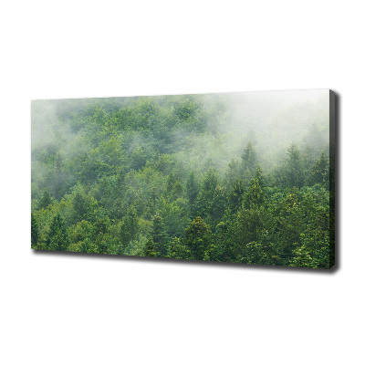 Canvas wall art Mysterious forest