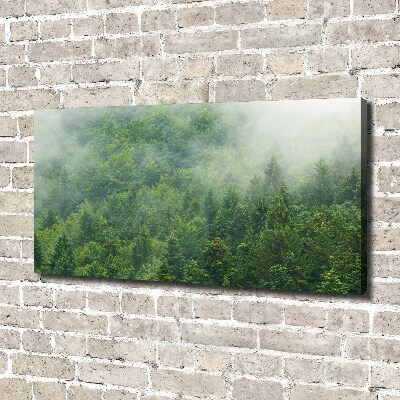 Canvas wall art Mysterious forest