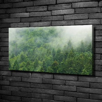 Canvas wall art Mysterious forest