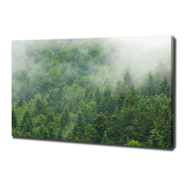 Canvas wall art Mysterious forest