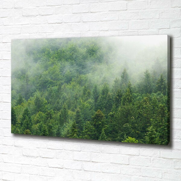 Canvas wall art Mysterious forest