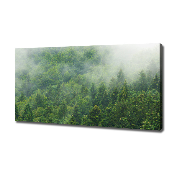 Canvas wall art Mysterious forest