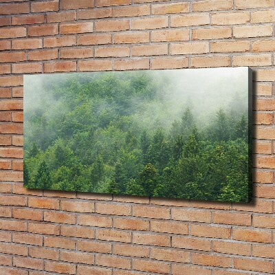 Canvas wall art Mysterious forest