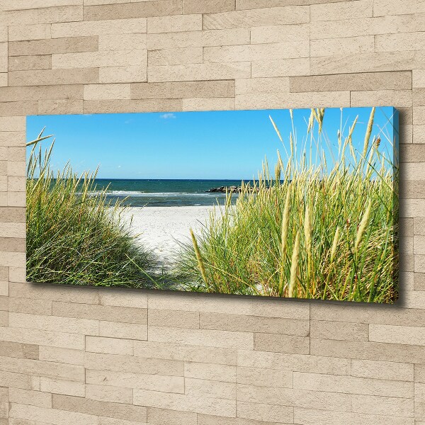 Canvas wall art Coastal dunes